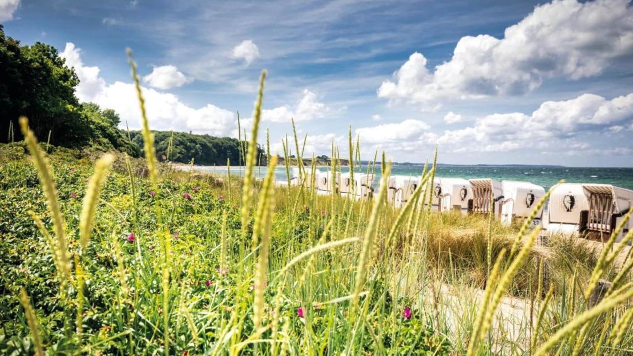 AreaSummer20KM AreaSummer20KM